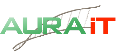 Logo AURA IT